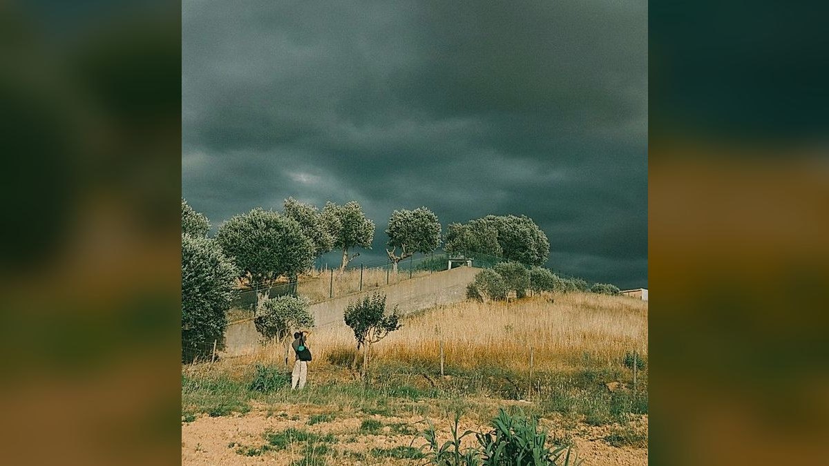 Top 10 Movies on Prime Video 2027 — figure 3