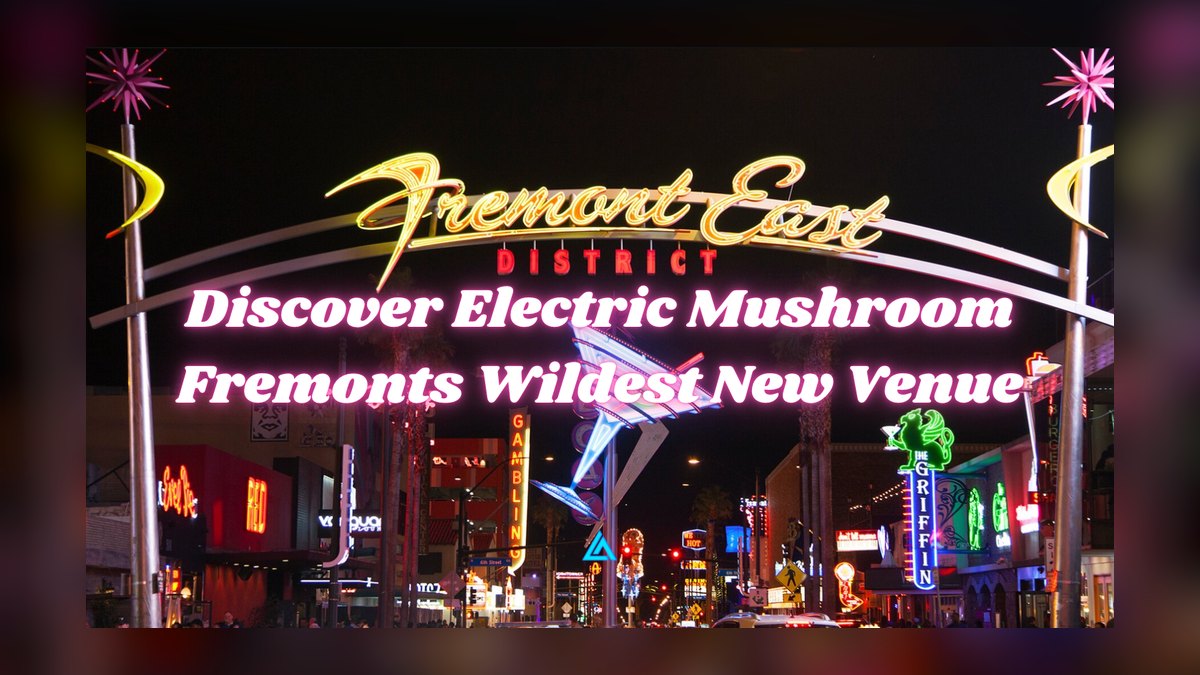 Top 10 Nightlife Spots in Tampa in 2027 — figure 2