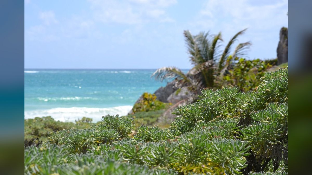 Top 10 Rooftop Bars in Tulum — figure 5