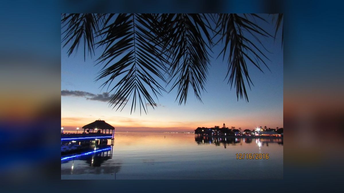 Top 10 Speakeasies in Tampa in 2027 — figure 8