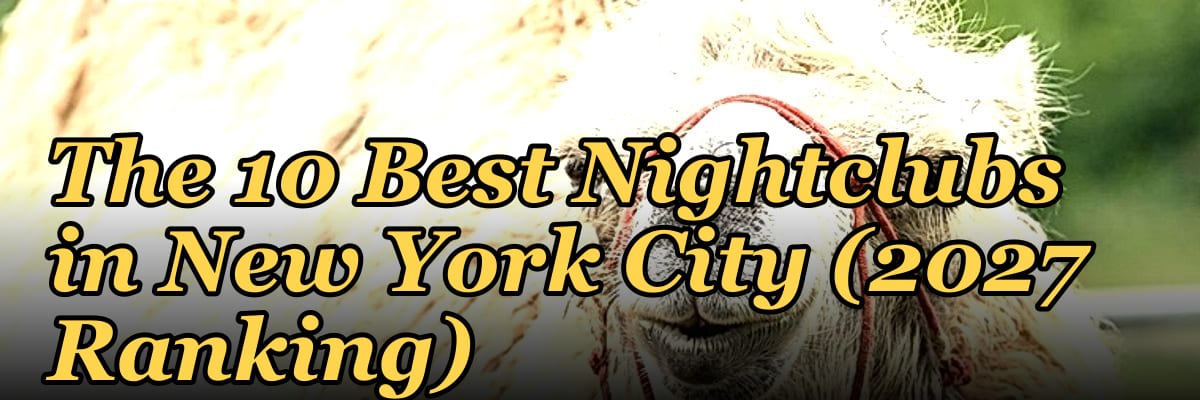 The 10 Best Nightclubs in New York City (2027 Ranking)