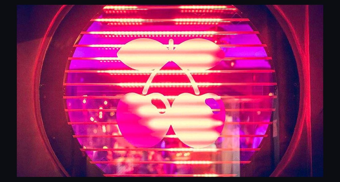 The 10 Best Nightclubs in New York City (2027 Ranking)