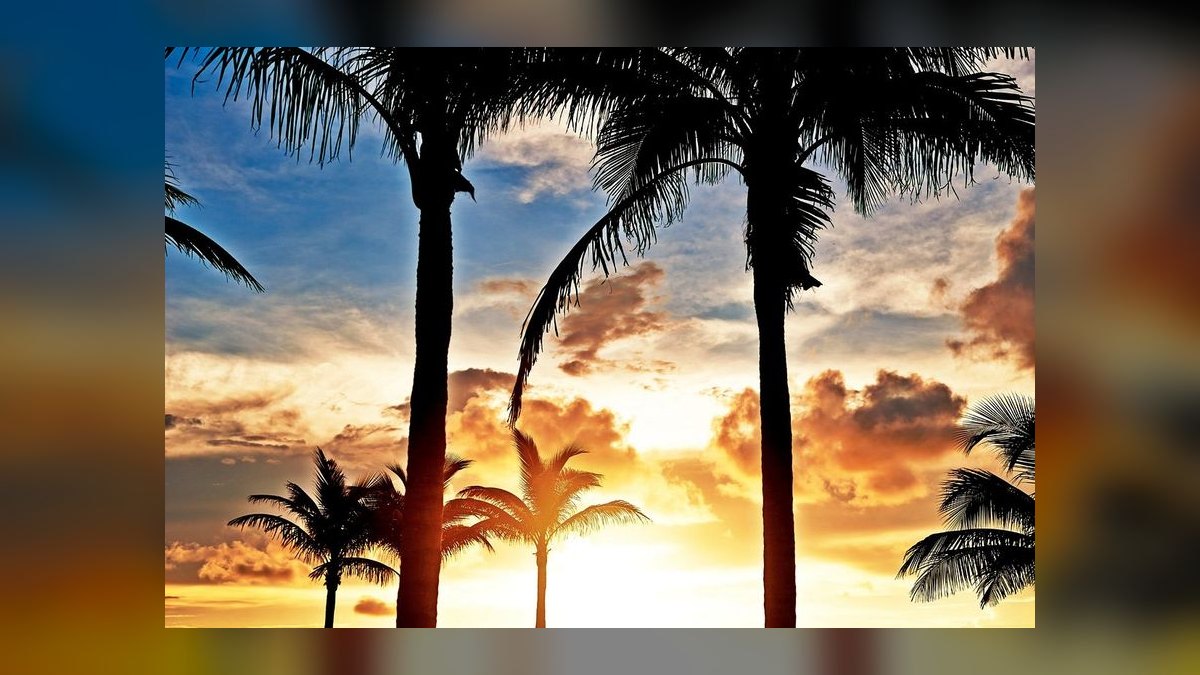 The 10 Best Beach Clubs in Miami for 2027 — figure 8