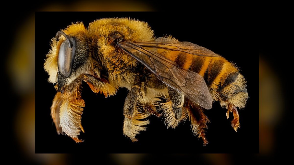 Top 10 Rooftop Bars in Nashville in 2027 — figure 1