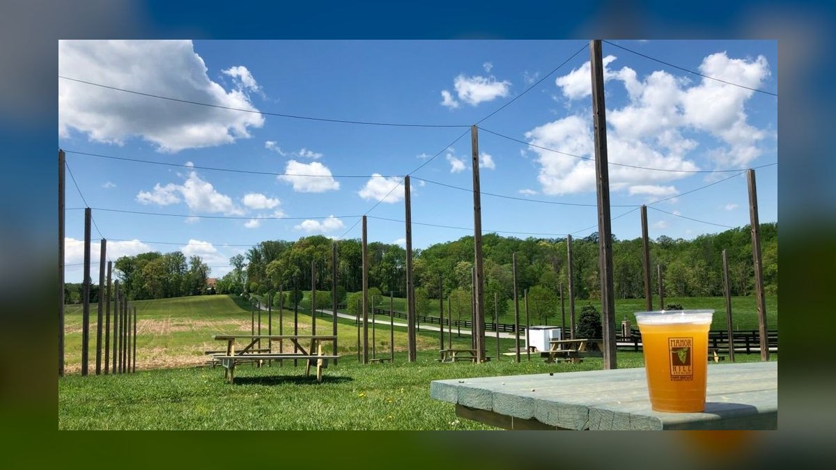 Top 10 Breweries in Maryland in 2027 — figure 7