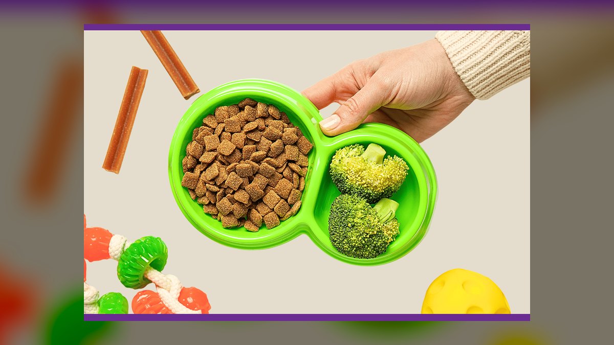 Top 10 Fresh Dog Food Brands for 2027 — figure 1