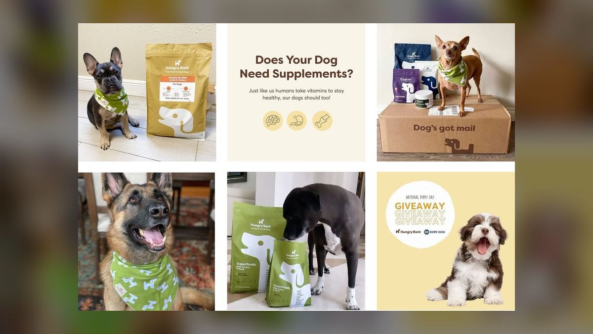 Top 10 Fresh Dog Food Brands for 2027 — figure 10