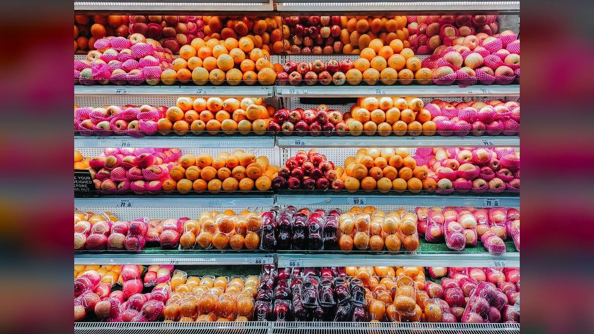 Top 10 Fresh Dog Food Brands for 2027 — figure 4