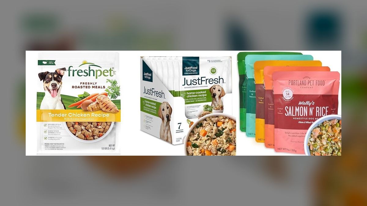 Top 10 Fresh Dog Food Brands for 2027 — figure 7