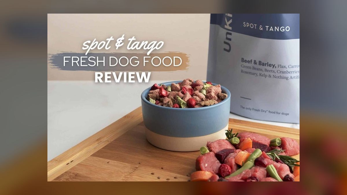 Top 10 Fresh Dog Food Brands for 2027 — figure 8