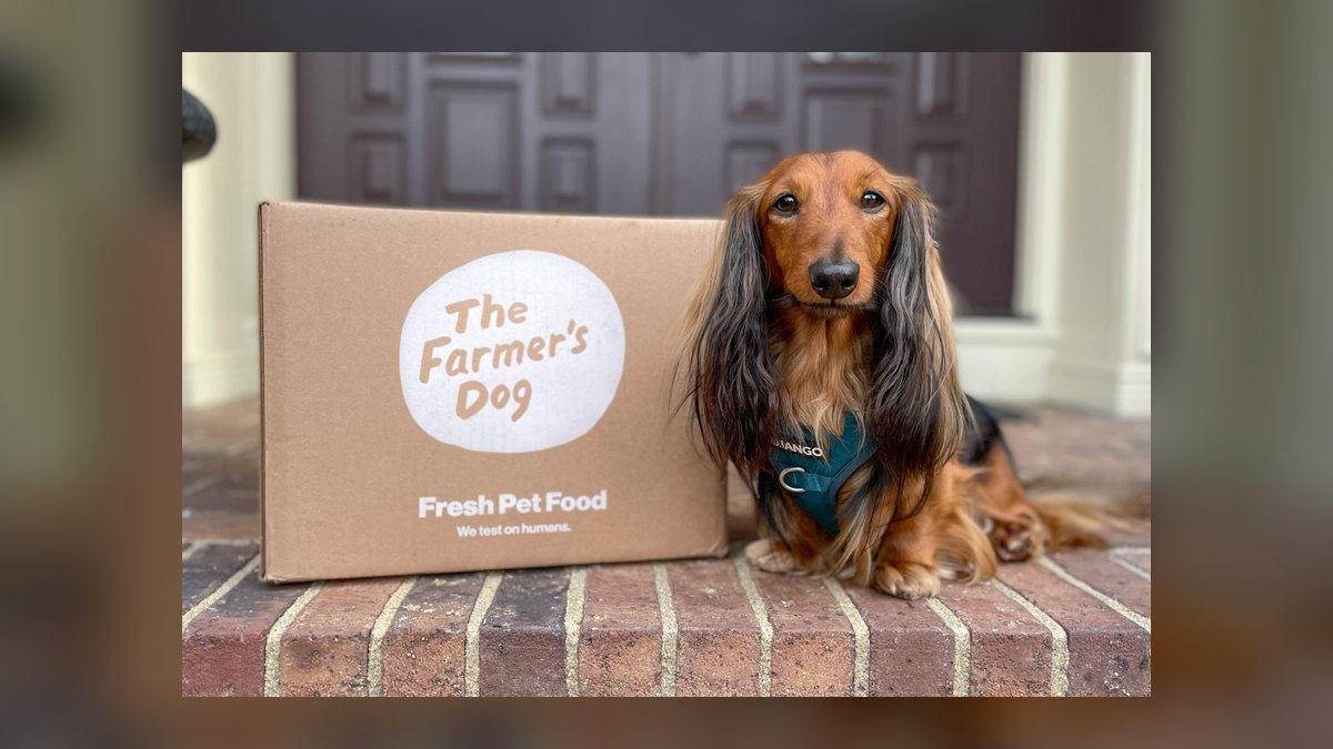 Top 10 Fresh Dog Food Brands for 2027