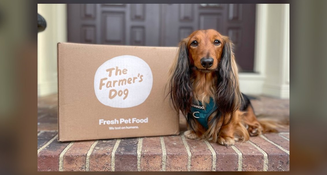 Top 10 Fresh Dog Food Brands for 2027