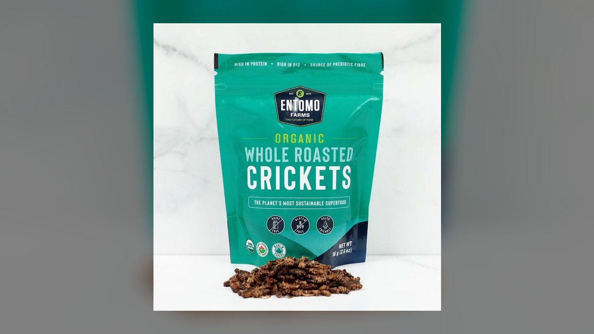 Top 10 Insect-Based Pet Foods for 2027 — figure 4
