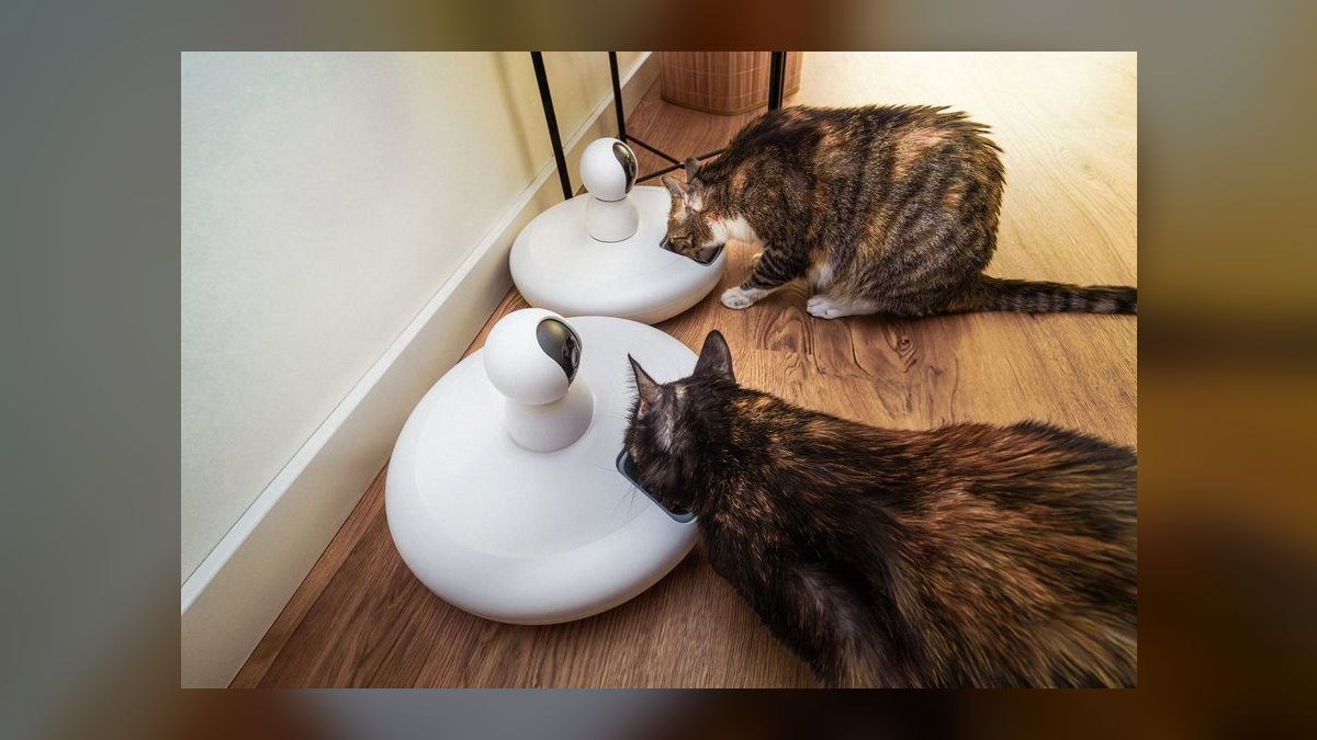 Top 10 Smart Pet Feeders for 2027 — figure 2