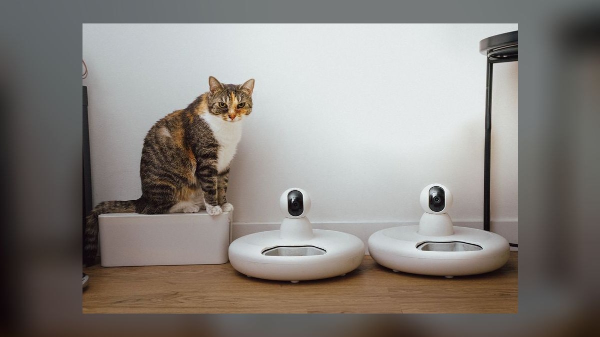 Top 10 Smart Pet Feeders for 2027 — figure 4