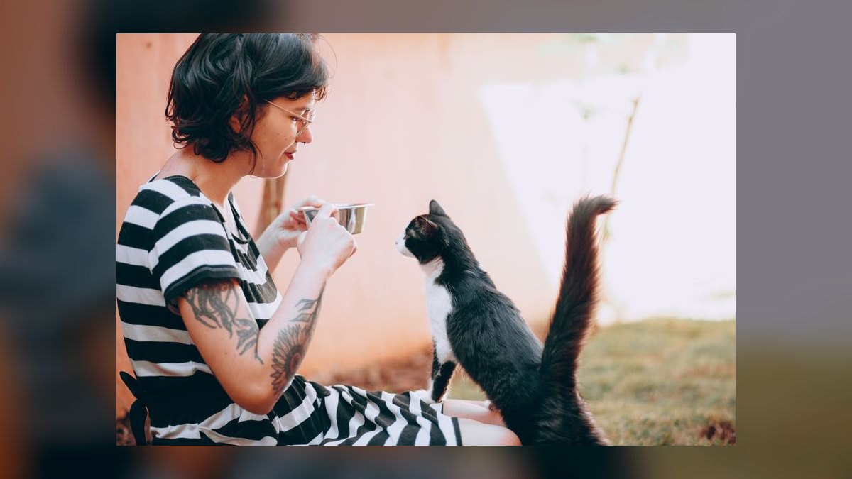 Top 10 Smart Pet Feeders for 2027 — figure 9