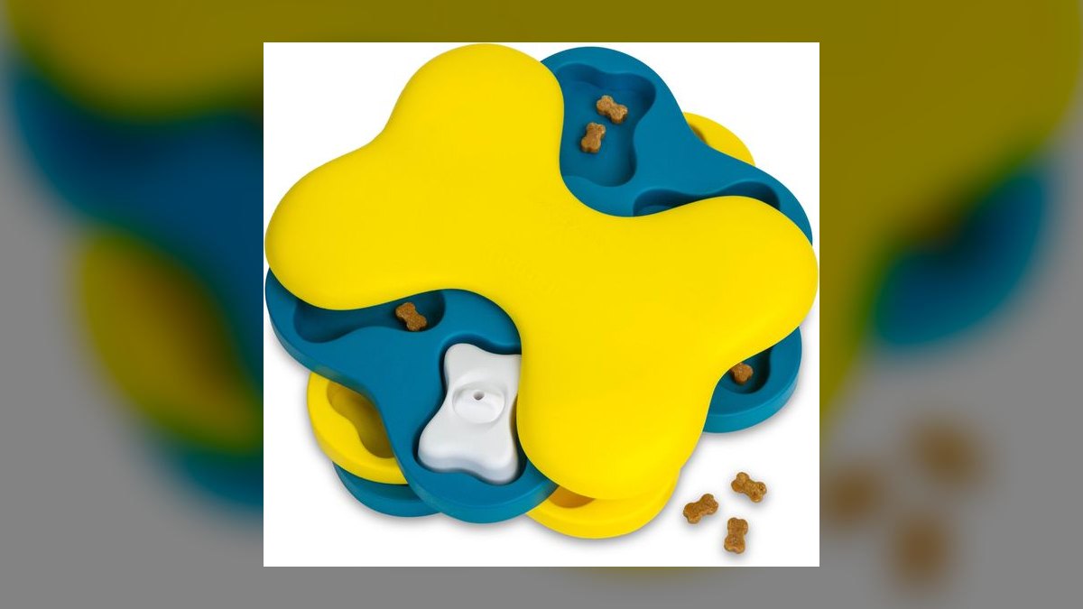 Top 10 Interactive Dog Toys for 2027 — figure 2