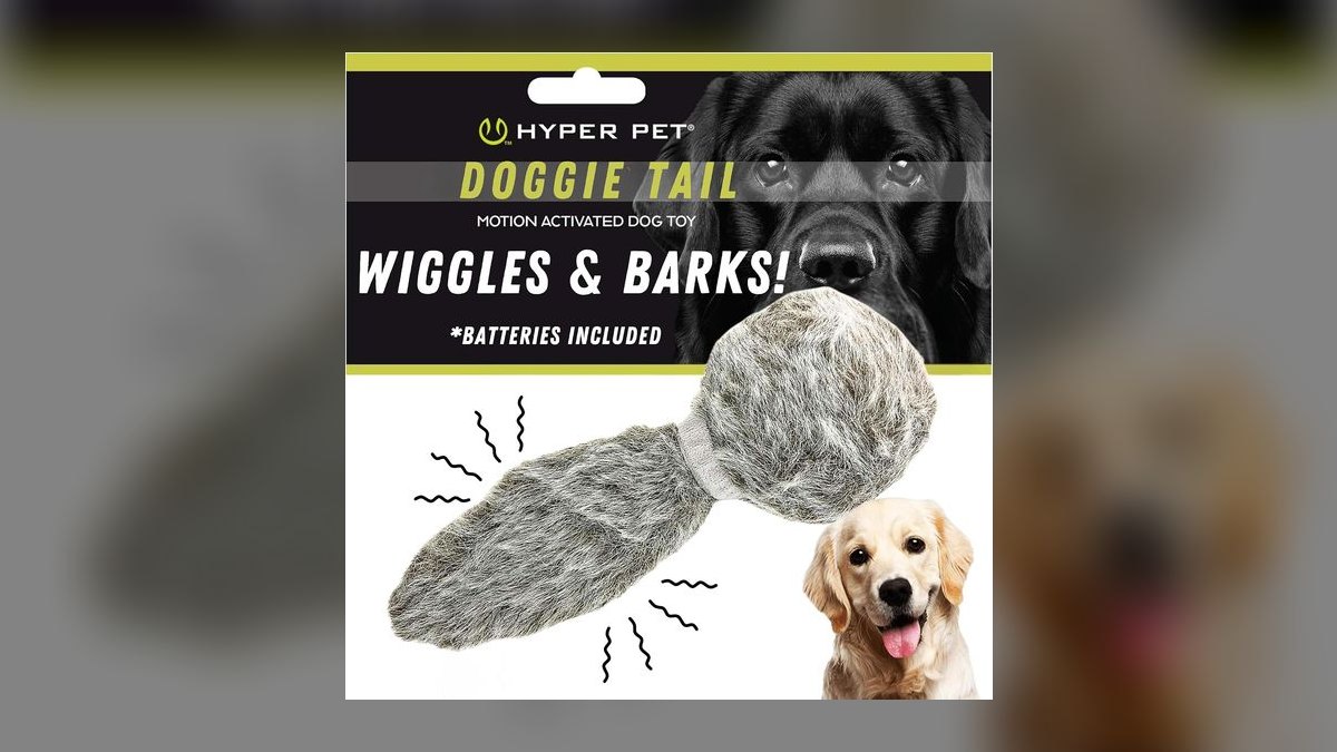 Top 10 Interactive Dog Toys for 2027 — figure 7