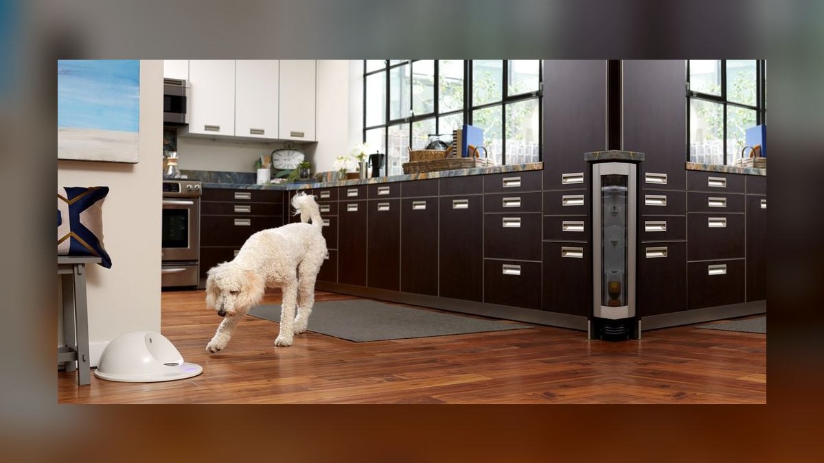 Top 10 Interactive Dog Toys for 2027 — figure 8