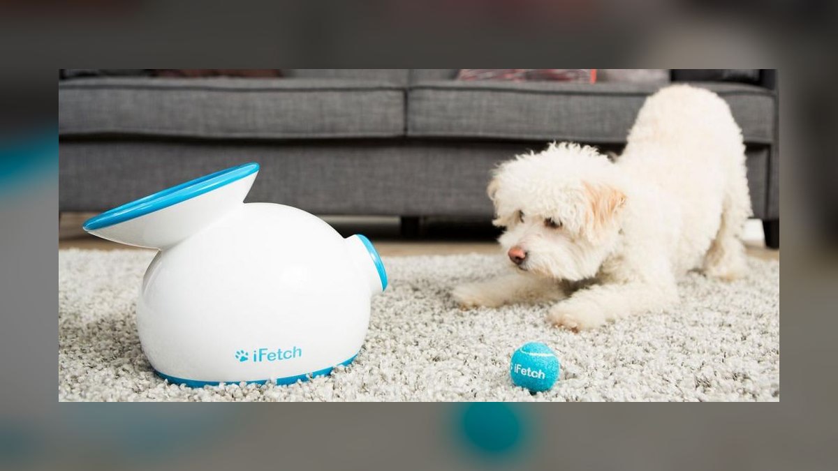 Top 10 Interactive Dog Toys for 2027