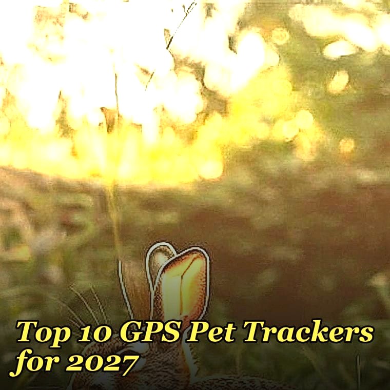 Top 10 GPS Pet Trackers for 2027