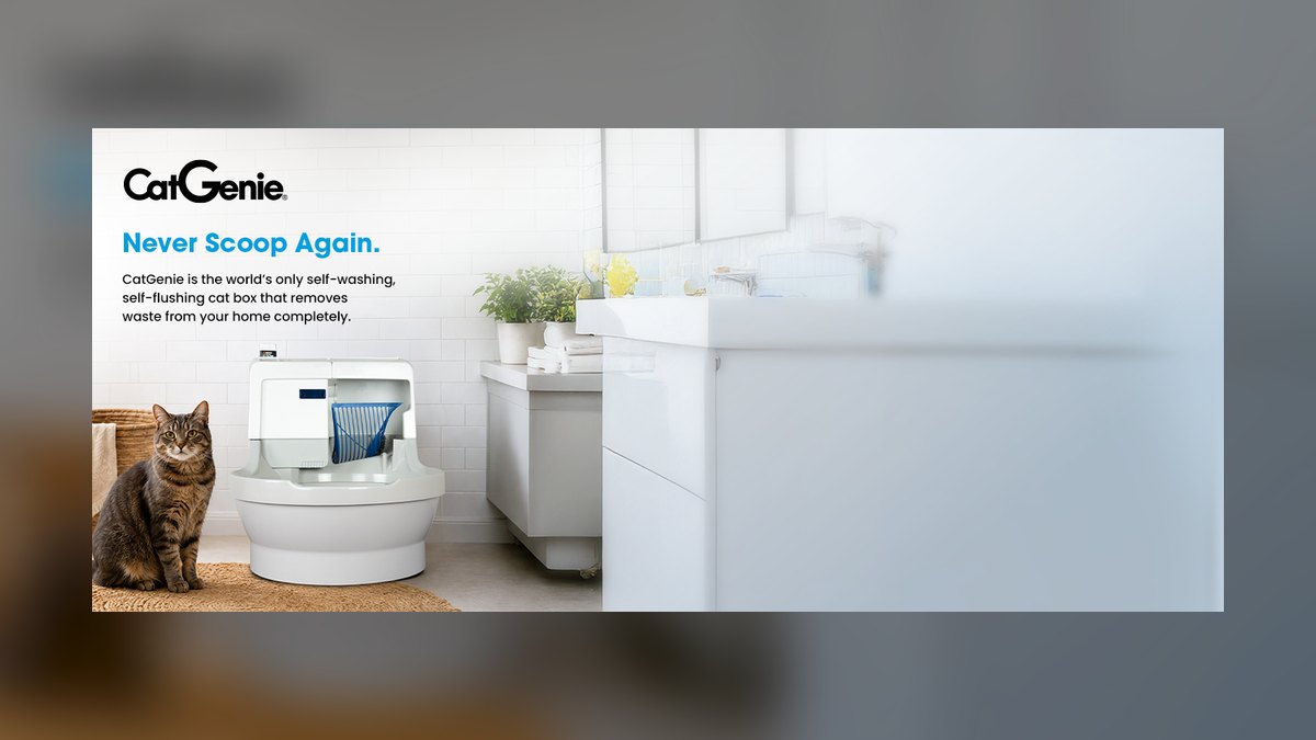 Top 10 Cat Litter Box Innovations for 2027 — figure 1