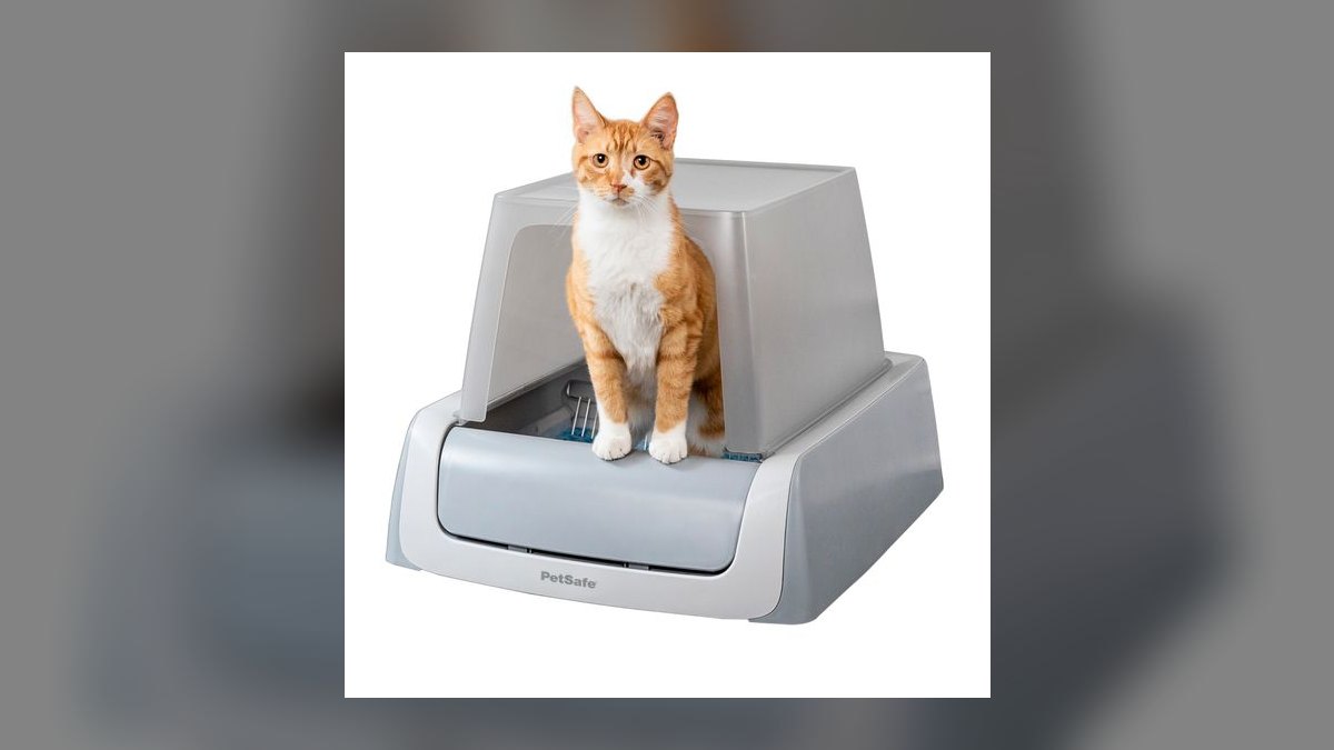 Top 10 Cat Litter Box Innovations for 2027 — figure 3