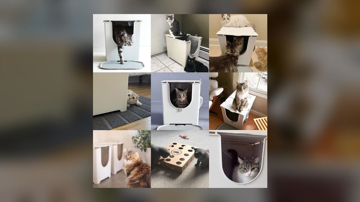 Top 10 Cat Litter Box Innovations for 2027 — figure 4