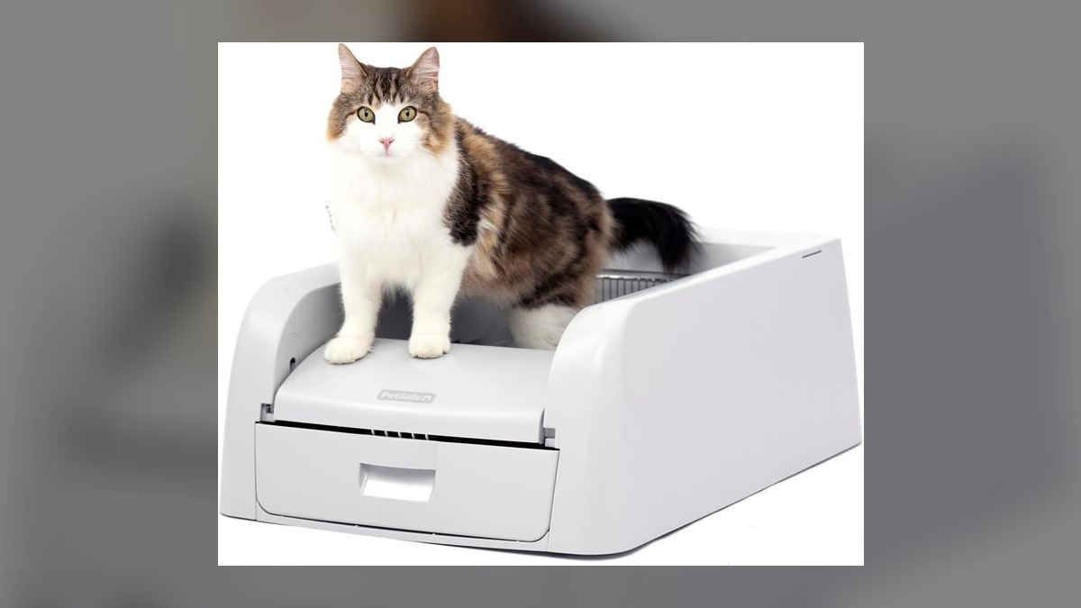 Top 10 Cat Litter Box Innovations for 2027 — figure 5