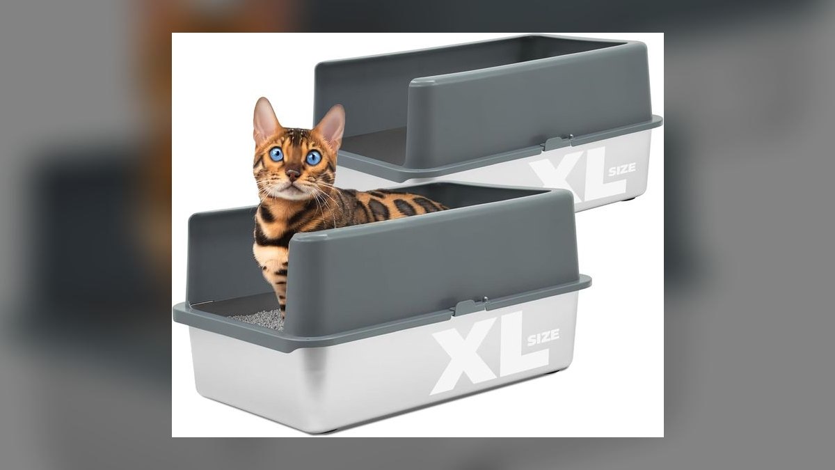 Top 10 Cat Litter Box Innovations for 2027 — figure 9