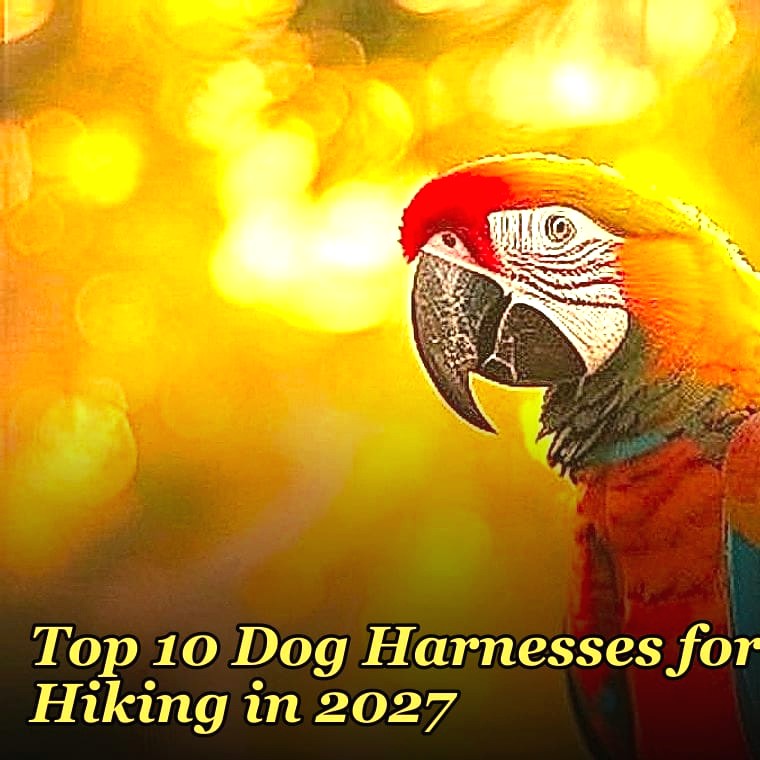 Top 10 Dog Harnesses for Hiking in 2027