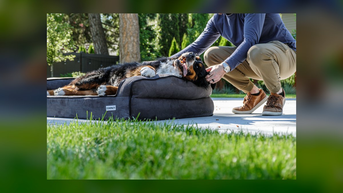 Top 10 Cooling Pet Products for Summer 2027 — figure 3