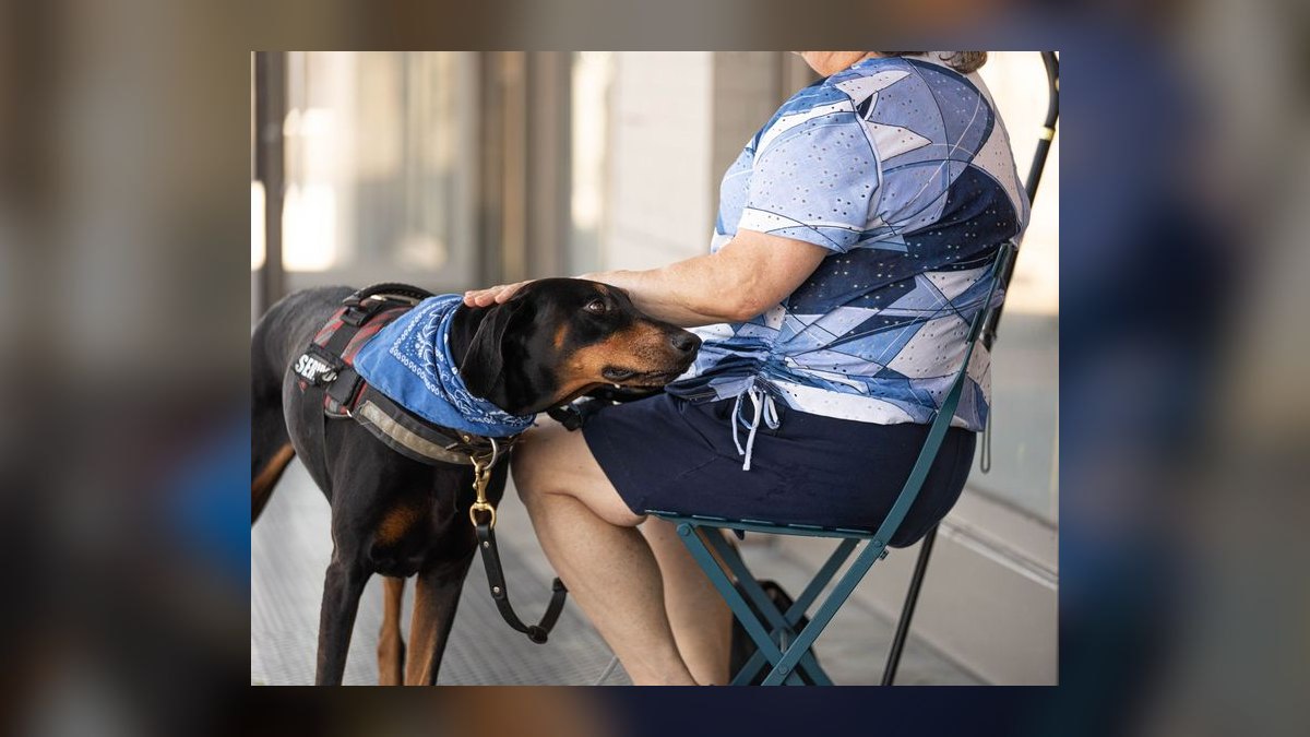 Top 10 Cooling Pet Products for Summer 2027 — figure 5