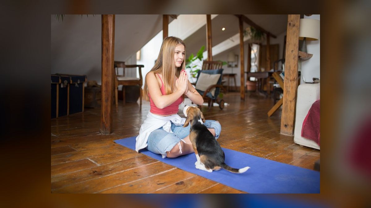 Top 10 Cooling Pet Products for Summer 2027 — figure 6
