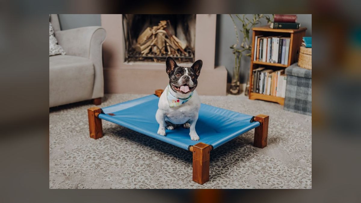 Top 10 Cooling Pet Products for Summer 2027 — figure 9