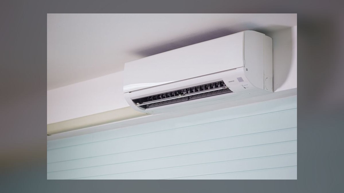 Top 10 Cooling Pet Products for Summer 2027