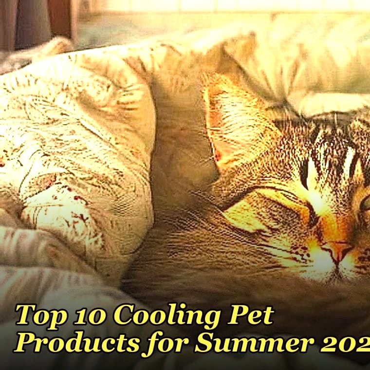 Top 10 Cooling Pet Products for Summer 2027