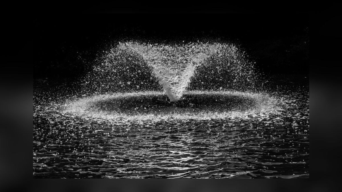 Top 10 Pet Water Fountains for 2027 — figure 4