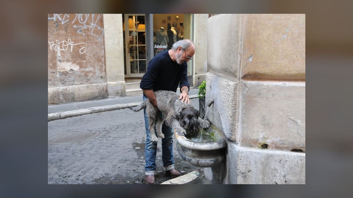 Top 10 Pet Water Fountains for 2027 — figure 8