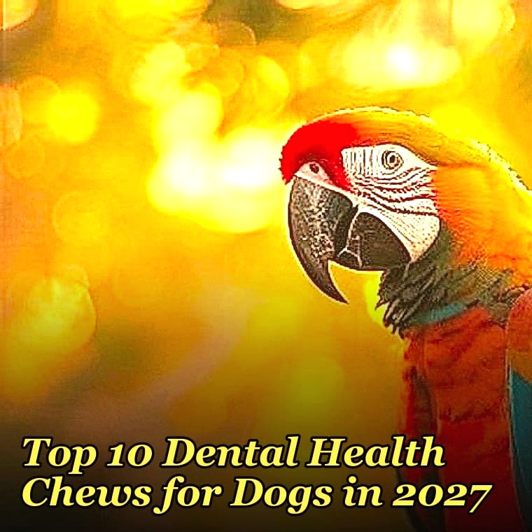Top 10 Dental Health Chews for Dogs in 2027