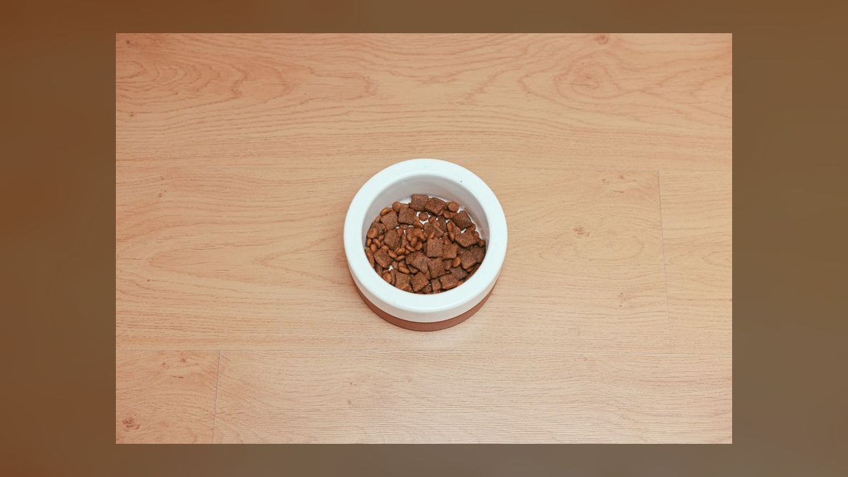 Is grain-free dog food linked to heart disease in certain breeds like Golden Retrievers — figure 1