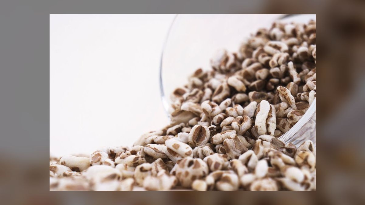 Is grain-free dog food linked to heart disease in certain breeds like Golden Retrievers — figure 10