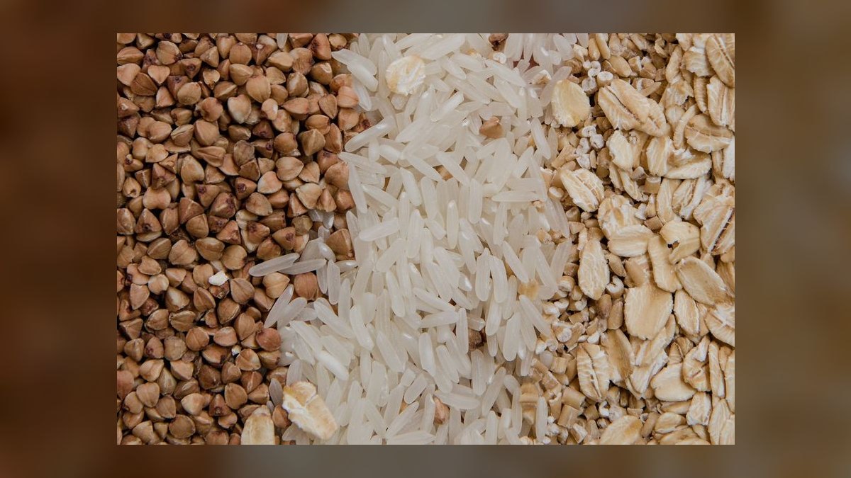 Is grain-free dog food linked to heart disease in certain breeds like Golden Retrievers — figure 8