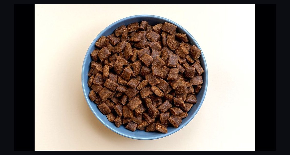 Is grain-free dog food linked to heart disease in certain breeds like Golden Retrievers in 2027?