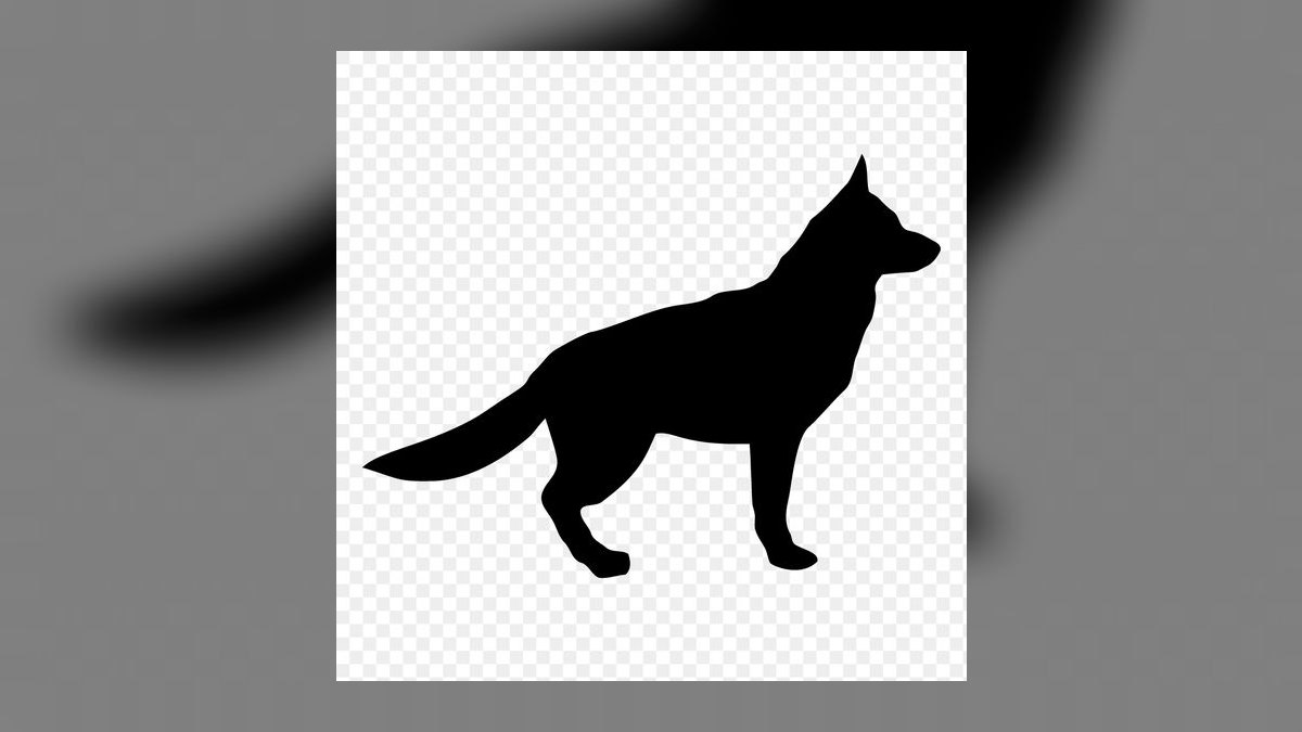 What are the first signs of hip dysplasia in a German Shepherd puppy — figure 4