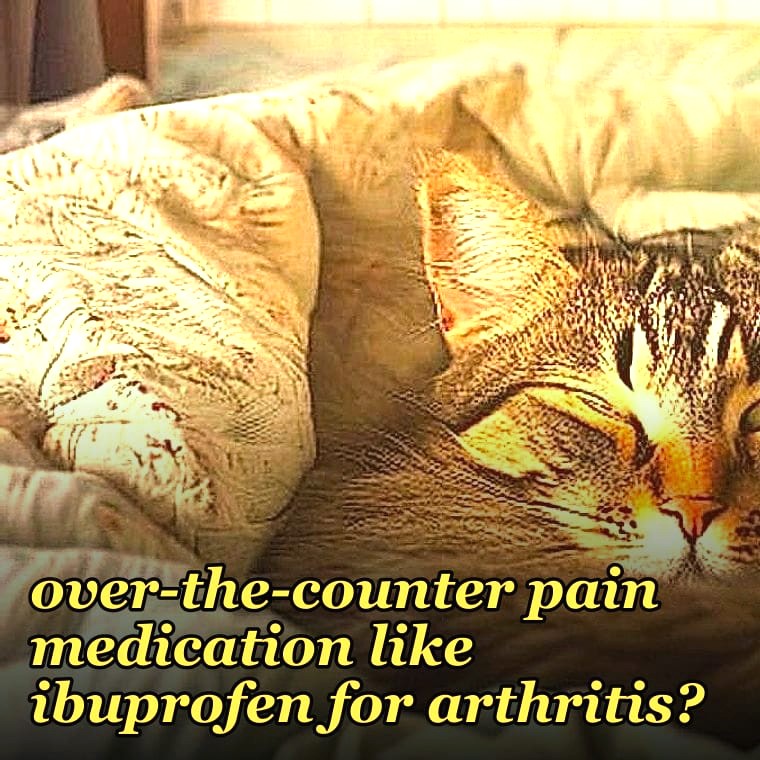 Can I give my dog over-the-counter pain medication like ibuprofen for arthritis?