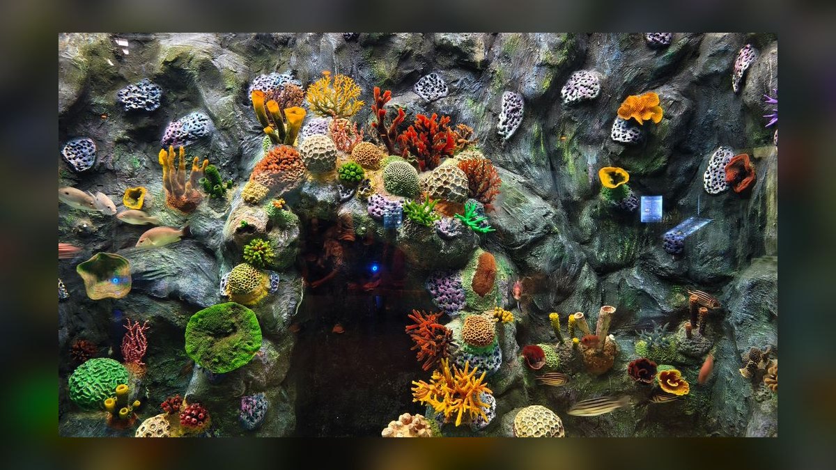 Top 10 Nano Reef Tank Builds for Beginners in 2027 — figure 1