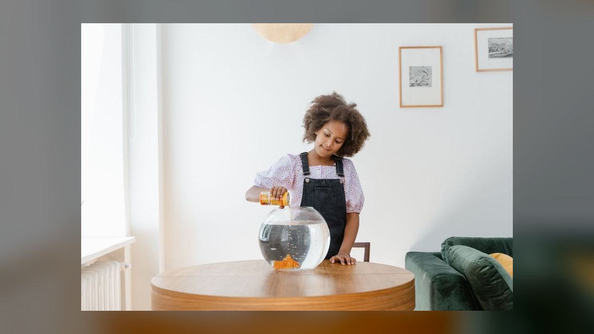 Top 10 Automatic Fish Feeders for Vacation 2027 — figure 10