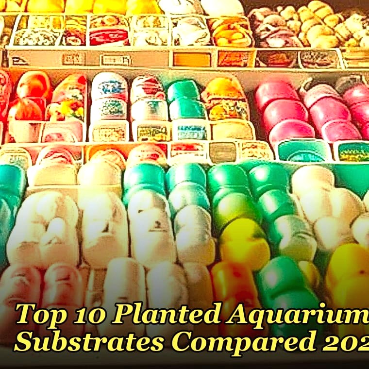 Top 10 Planted Aquarium Substrates Compared 2027