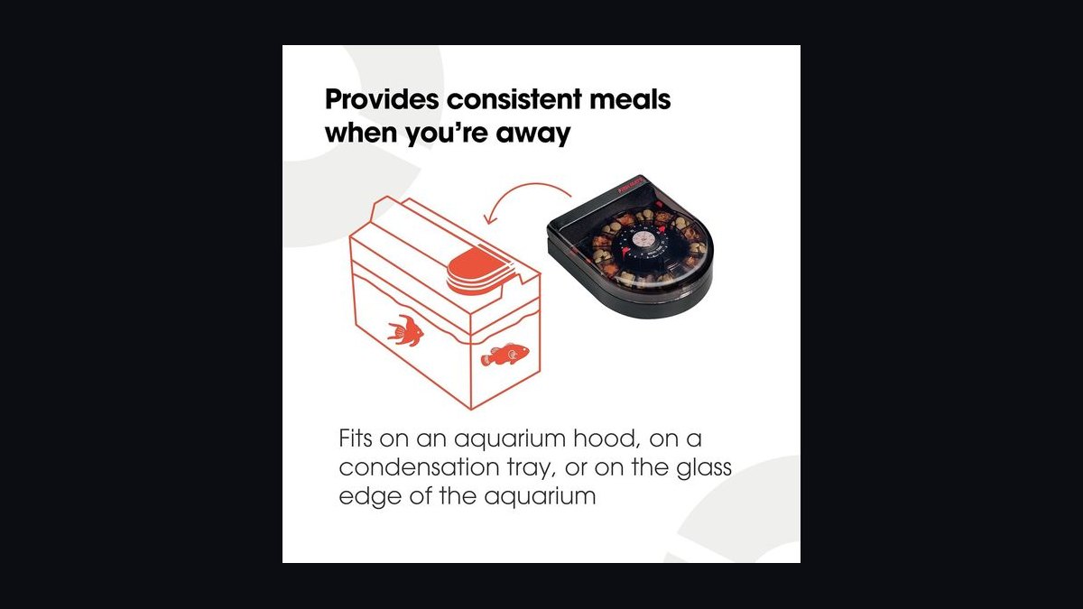 Top 10 High-Tech Automated Fish Feeders for Busy Aquarium Owners in 2027 — figure 3